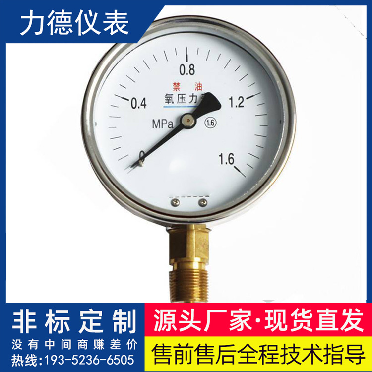 YO-60/100氧气压力表