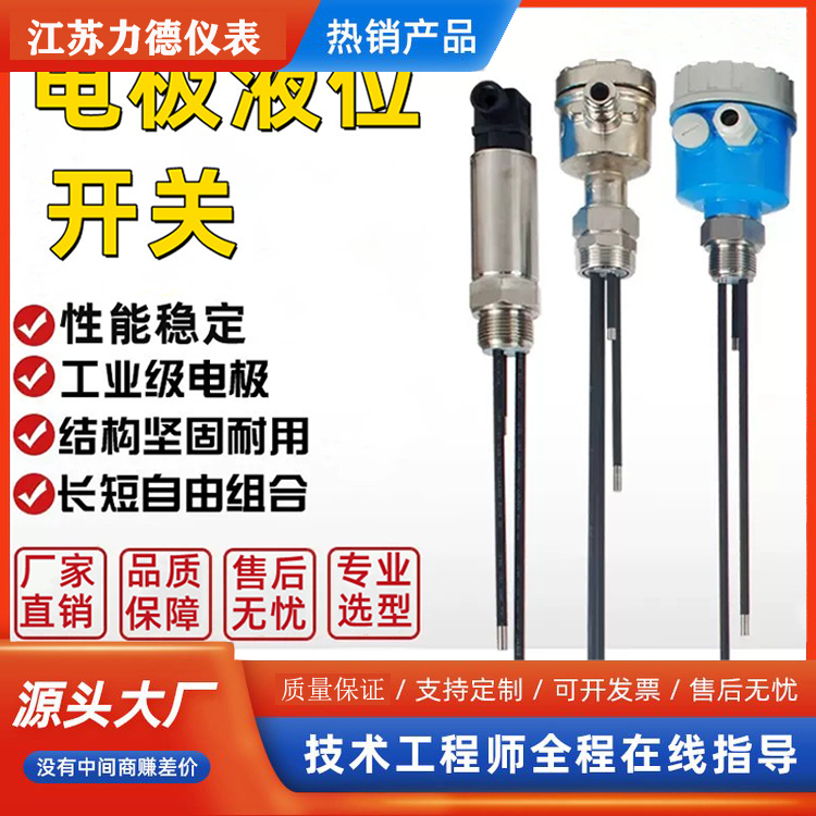 LD-UDD型电极式液位开关
