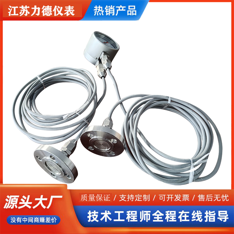 不锈钢差压表带毛细管连接DN20